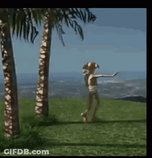 Dobby Is Free From Stress GIF