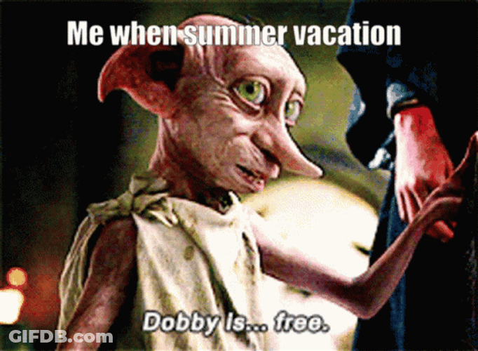 Dobby Is Free On Summer Vacation GIF