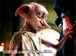 Dobby Is Free GIF