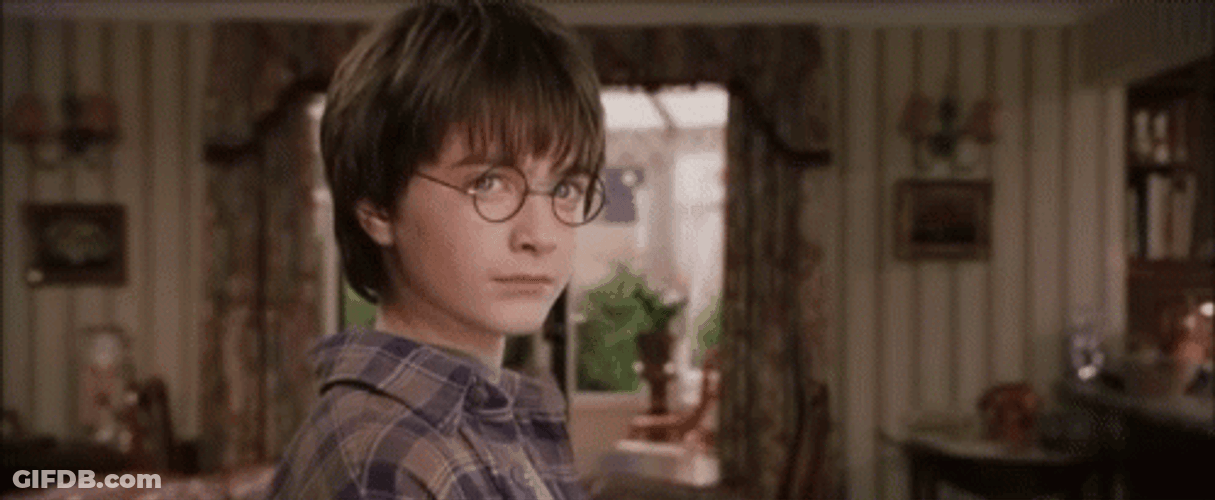 Dobby Master Harry Potter Intense Look GIF