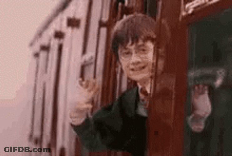 Dobby Master Harry Potter Waving GIF