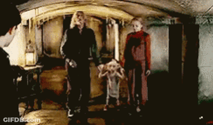 Dobby The House Elf Disappearing GIF
