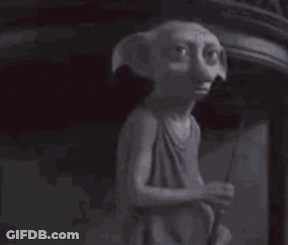 Dobby Yes Master GIF