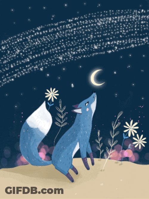 Dobranoc Fox Sweet Dreams GIF