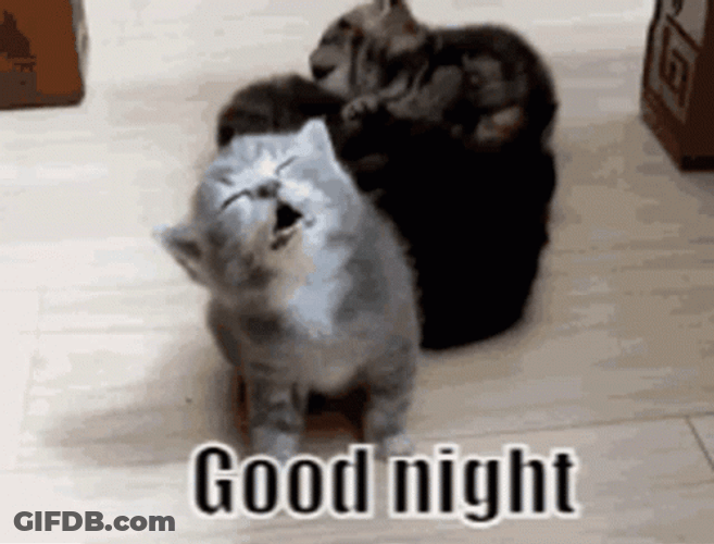 Dobranoc Sleepy Little Kitten GIF