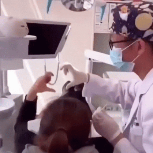 Doctor And Patience Heart Hand GIF