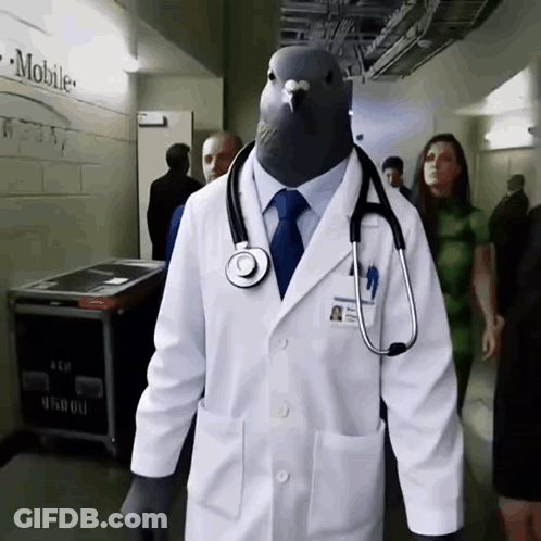 Doctor With Pigeon Head And Stethoscope GIF