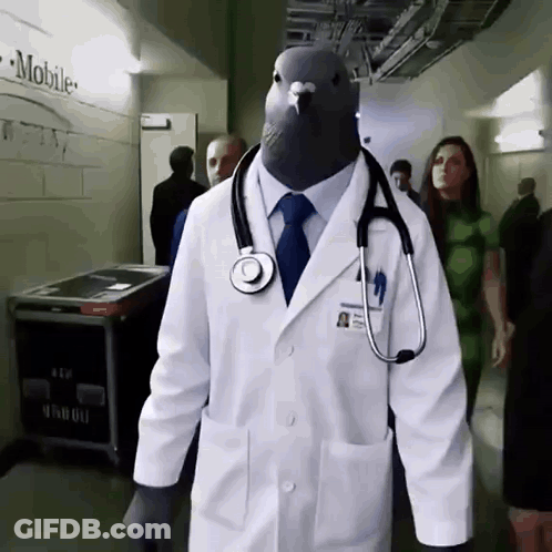 Doctor With Pigeon Head And Stethoscope GIF