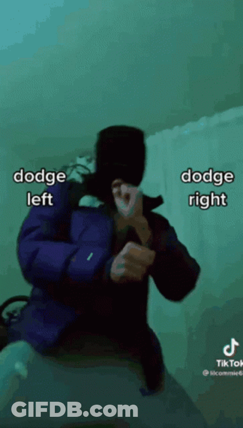 Dodge GIF