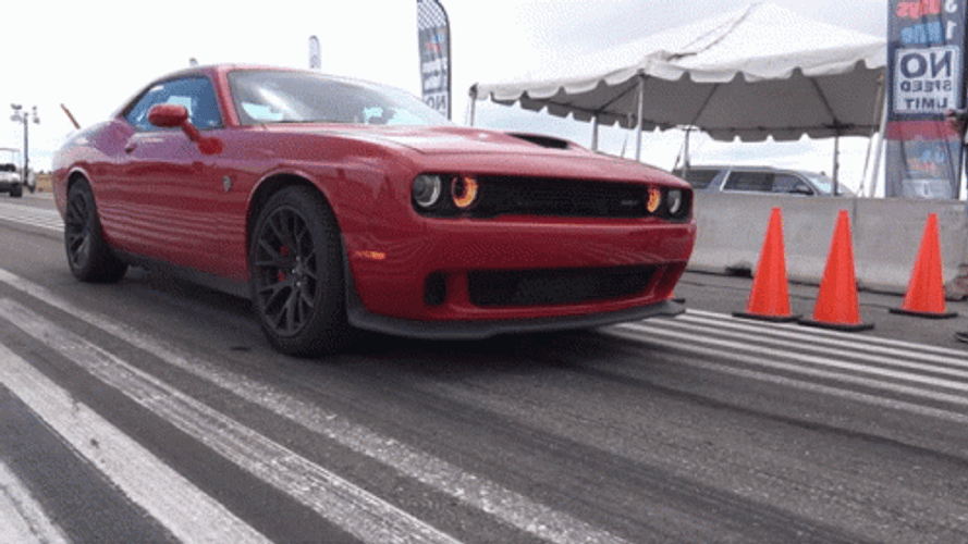 Dodge Challenger 2016 Runway Race GIF