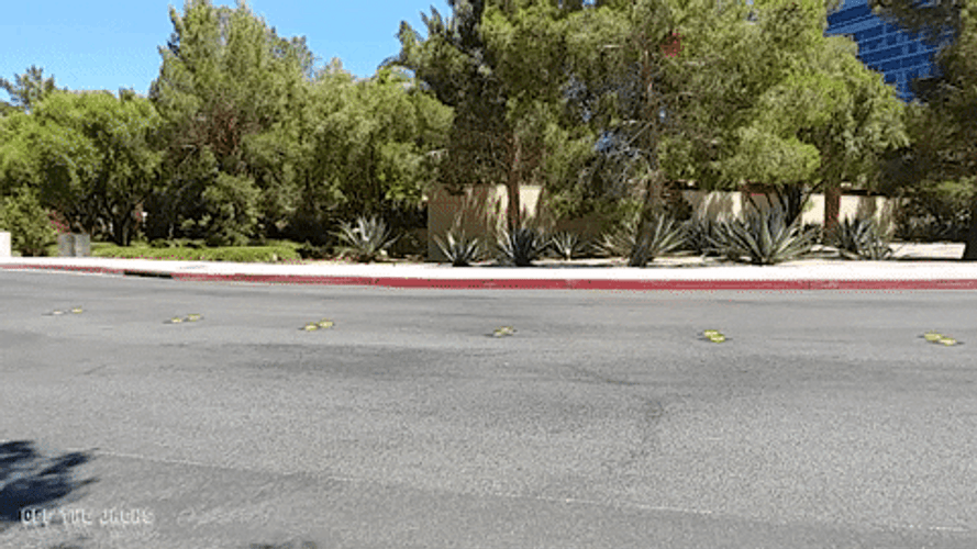 Dodge Challenger Gray Shiny GIF