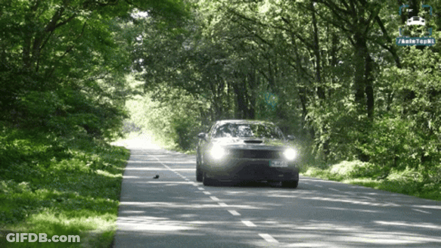 Dodge Challenger Start Smoke GIF