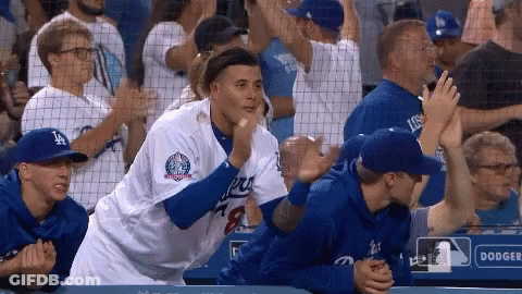 Dodgers Player High Fiving Fan GIF