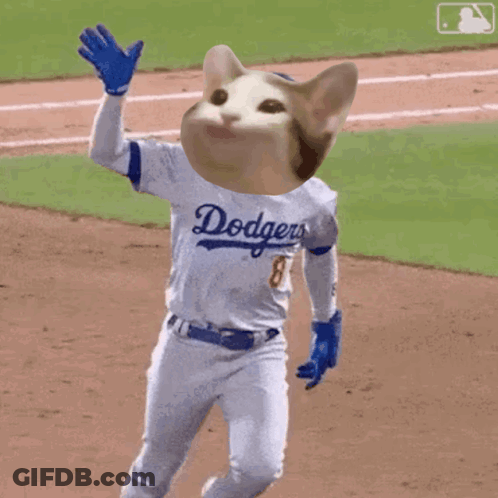 Dodgers Player With Cat Head Jersey GIF