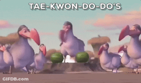 Dodo Birds Around Watermelons Saying Attack GIF