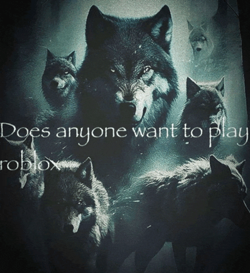 Does Anyone Want To Play Roblox Wolfs Meme GIF