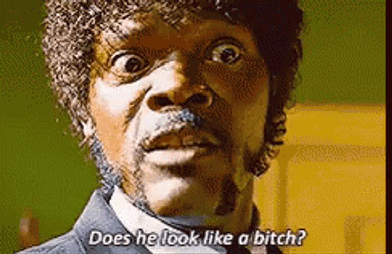 Does He Look Like A Bitch Samuel L Jackson GIF