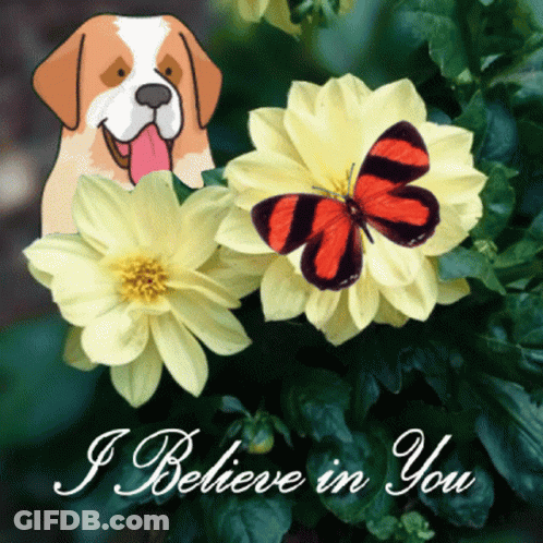 Dog And Butterfly I Believe In You GIF