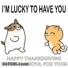 Dog And Cat Dancing GIF