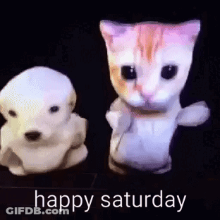 Dog And Cat Dancing Happy Saturday GIF