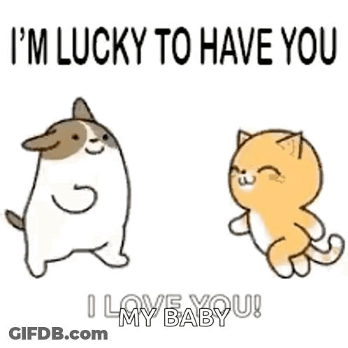 Dog And Cat Dancing Says I'm Lucky To Have You GIF