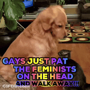Dog And Cat Gays Just Pat The Feminists On The Head And Walkaway GIF