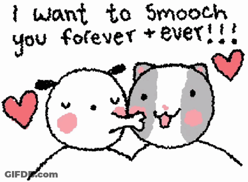 Dog And Cat I Want To Smooch You Forever And Ever GIF