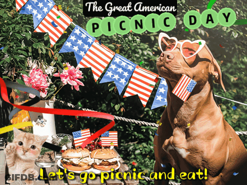 Dog And Cat Picnic Eat GIF