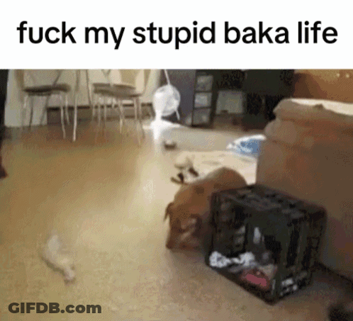 Dog And Cat Saying Fuck My Stupid Baka Life GIF