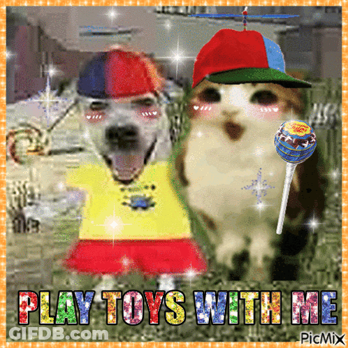 Dog And Cat Saying Play Toys With Me GIF