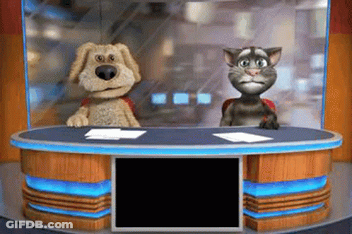 Dog And Cat Sitting At News Desk GIF