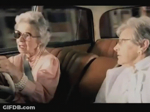 Dog And Cat Sitting In Car Be Safe Driving Here GIF