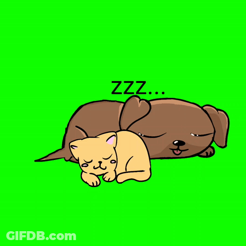 Dog And Cat Sleeping With Zzz Above GIF