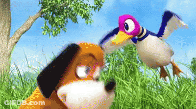 Dog And Duck In Grass Field GIF