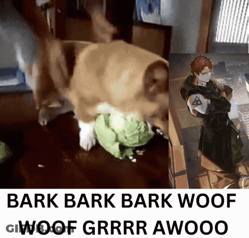 Dog And Man With Bark Bark Bark Woof Woof Grrr Awooo GIF