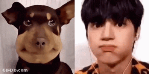 Dog And Man With Ear Buds GIF