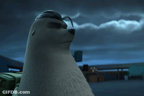 Dog And Seal Looking At Each Other GIF