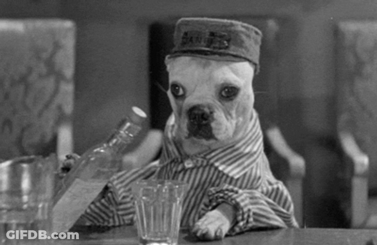 Dog Animal Pouring A Drink GIF
