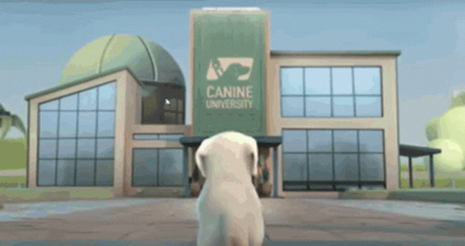 Dog Animation Left Out GIF