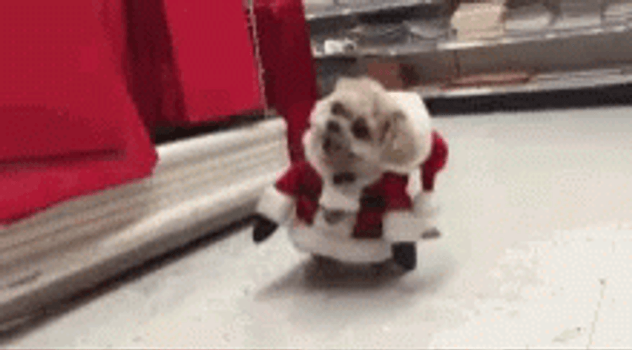 Dog As Drunk Santa Walking GIF