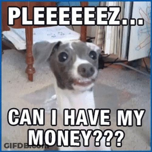 Dog Asking Money Pay Me GIF