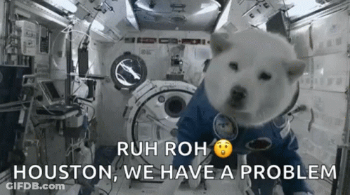 Dog Astronaut Sitting In Space Station GIF