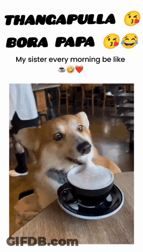 Dog At Table With Coffee Saying Thancapulla Bora Papa My Sister Every Morning Be L GIF