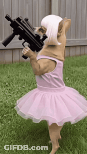 Dog Ballerina Holding Gun GIF