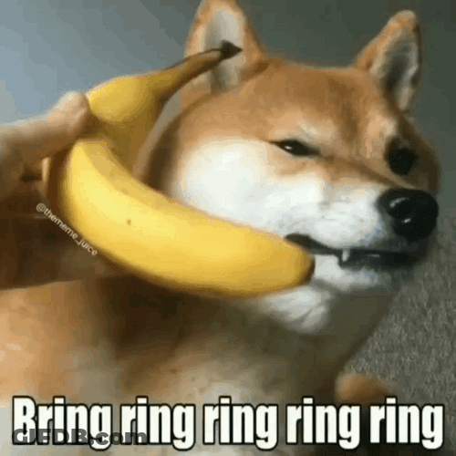 Dog Banana Phone Ring GIF