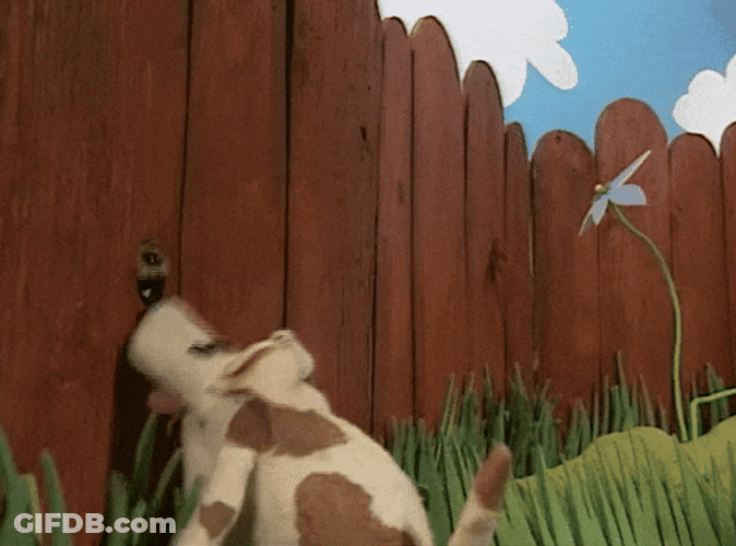 Dog Barking Sound In Small Hole GIF