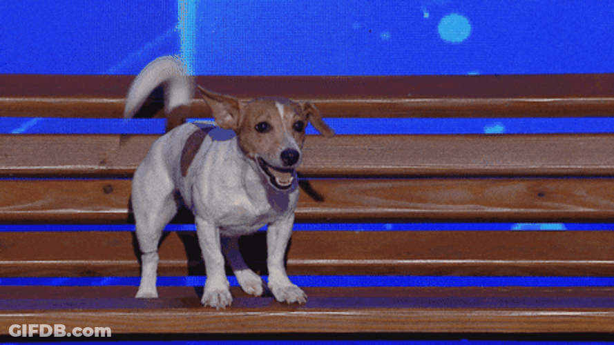 Dog Barking Sound Show GIF