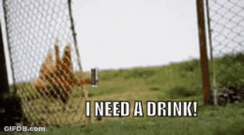 Dog Behind Chain Link Fence Says I Need A Drink GIF
