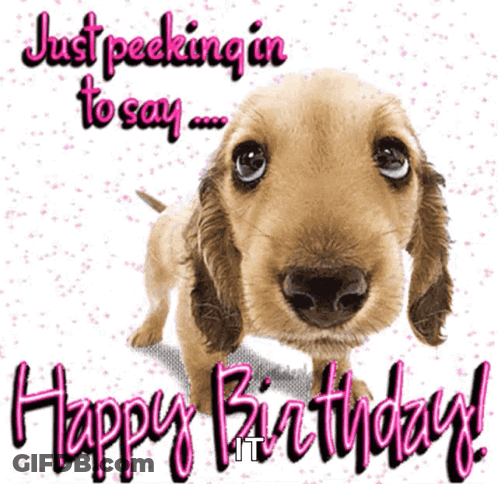 Dog Birthday Card Just Peeking In To Say GIF