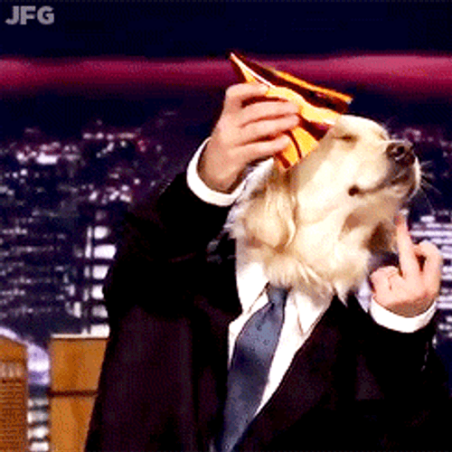 Dog Birthday Jimmy Fallon Party Hat GIF